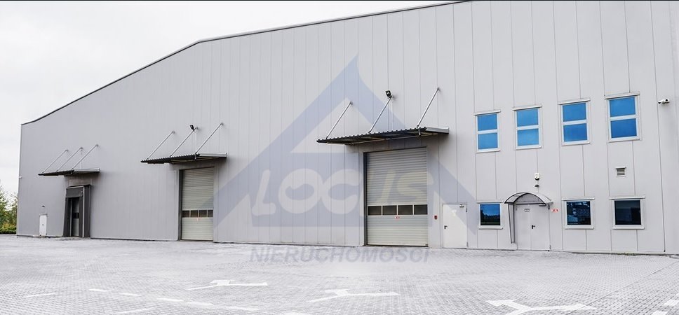 Magazyn 582 m² z wysokim składowaniem i monitoringiem Kolonia Lesznowola  582m2 Foto 1