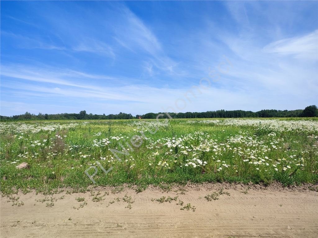Polecam dużą działkę 57 300 m² pod kopalnię kruszywa Nowy Łajszczew  57 300m2 Foto 1