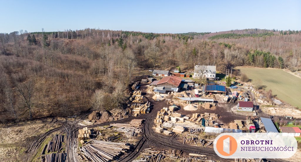 Magazyn na sprzedaż Pękalin  800m2 Foto 1