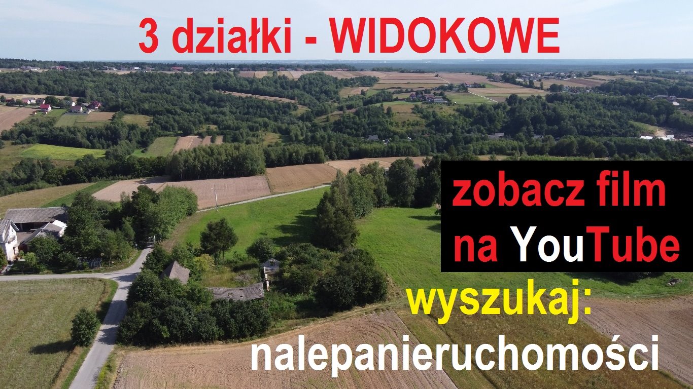 Działka budowlana na sprzedaż Radkowice-Kolonia  4 651m2 Foto 3