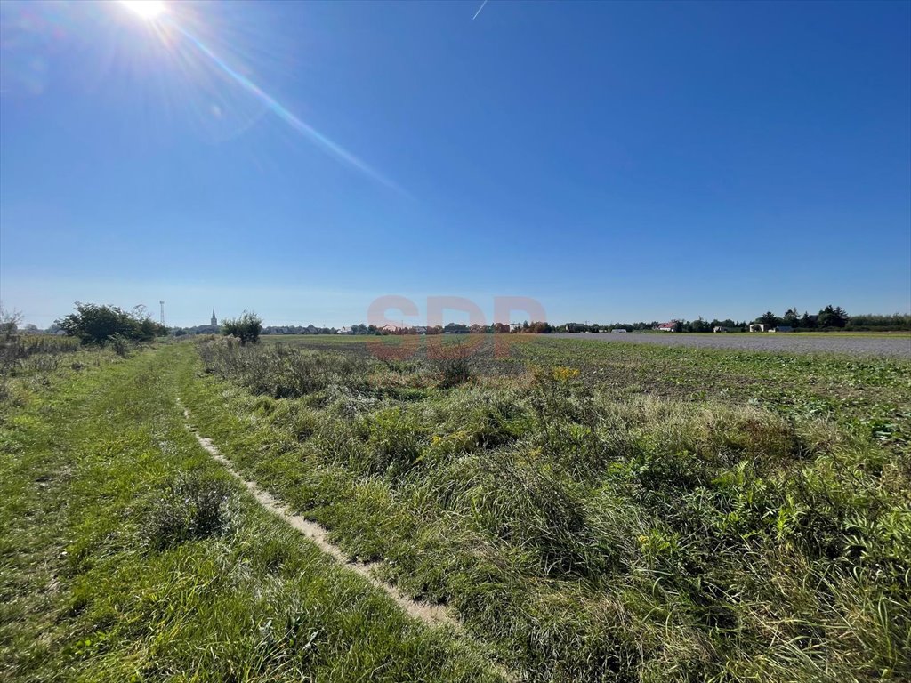 Działka budowlana na sprzedaż Lutynia, Słoneczna  3 000m2 Foto 5