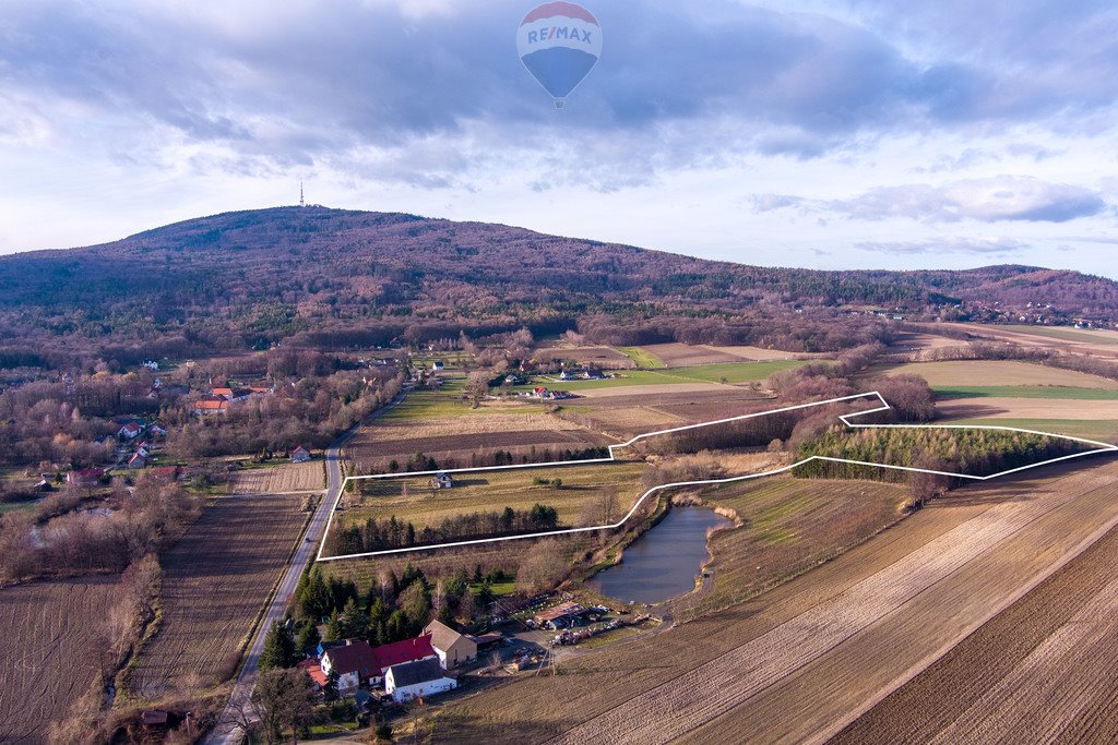 Działka rolna na sprzedaż Będkowice, Wolności  54 814m2 Foto 5