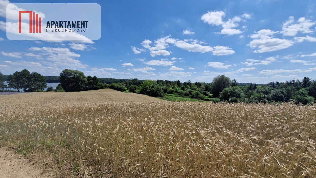 Działka gospodarstwo rolne na sprzedaż Chomiąża Księża  11 822m2 Foto 2