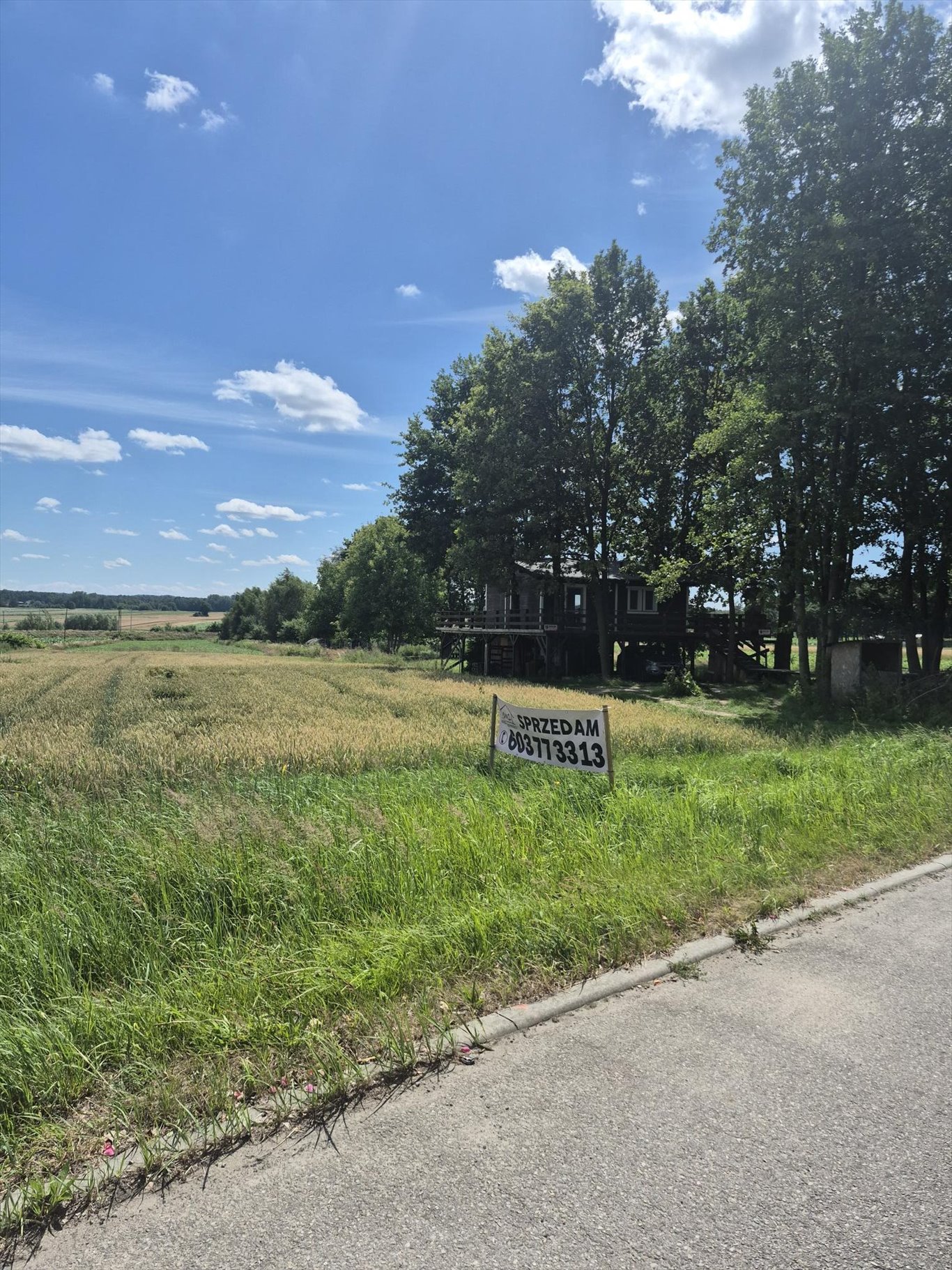 Na sprzedaż działka bud.-rolna 6,5 tys. m² w Gierałtowicach Gierałtowice, Miarki  6 500m2 Foto 1