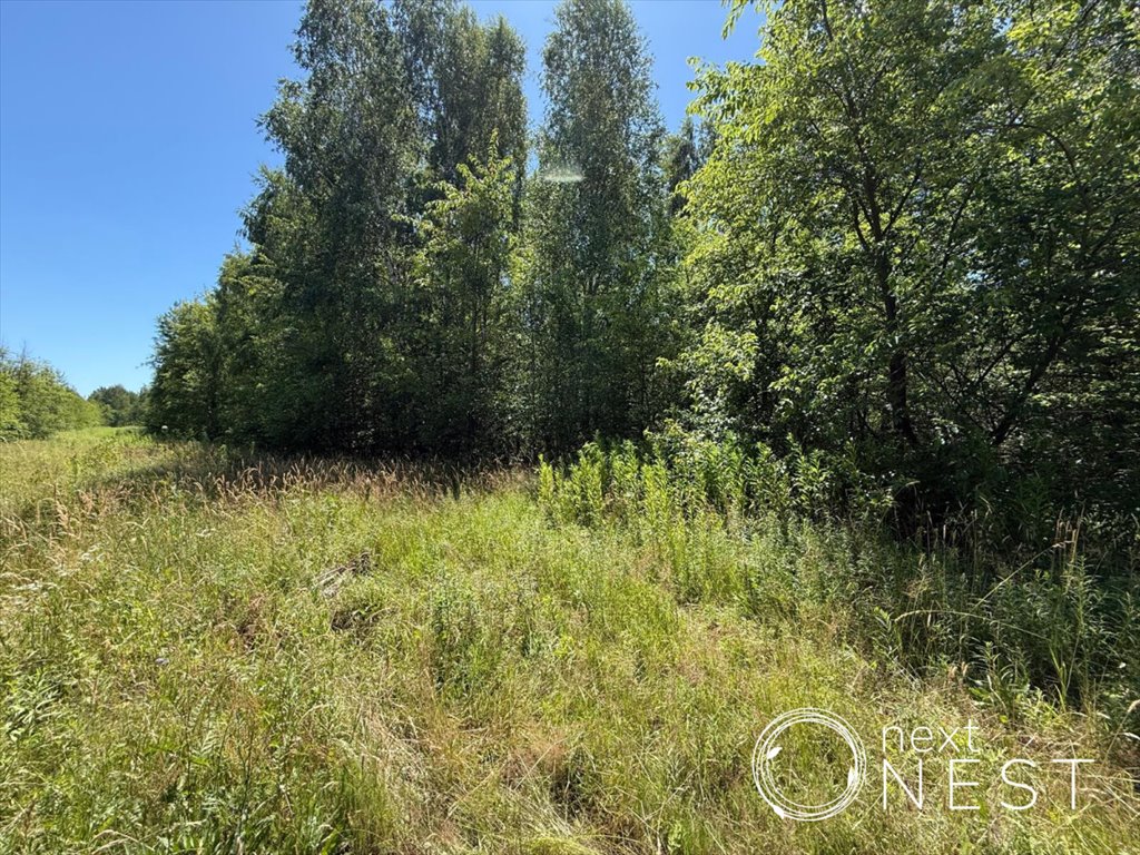 Działka budowlana na sprzedaż Konstancin-Jeziorna, Piaseczyńska  25 066m2 Foto 1