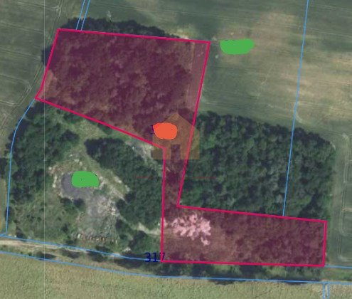 Działka 16 255 m² z lasem i potencjałem inwestycyjnym Bojanice  16 255m2 Foto 1