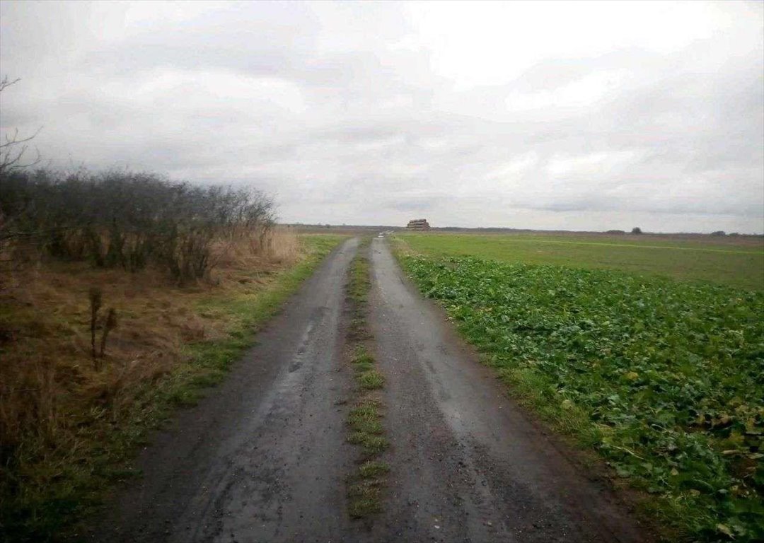 Działka inna na sprzedaż Dębowe Pole  1 300m2 Foto 4