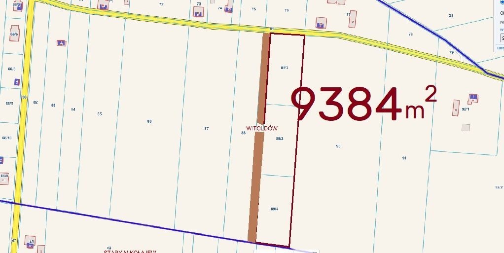 Działka inna na sprzedaż Witoldów  9 384m2 Foto 1