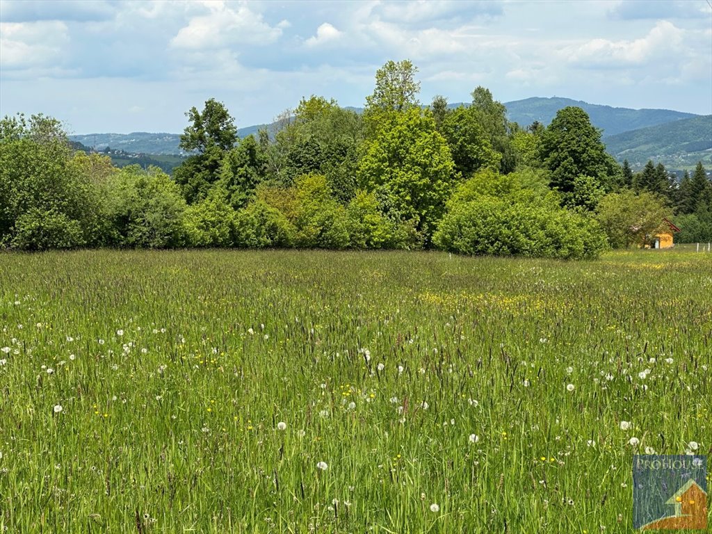 Działka budowlana na sprzedaż Stara Wieś  3 066m2 Foto 1