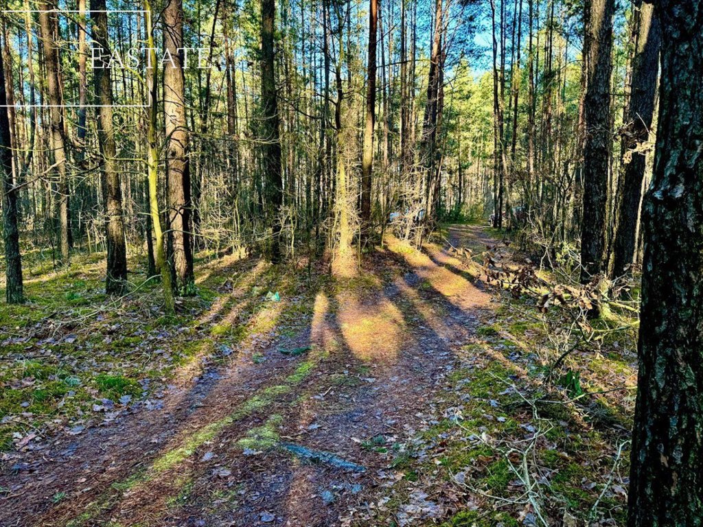 Działka budowlana na sprzedaż Józefów  1 699m2 Foto 4