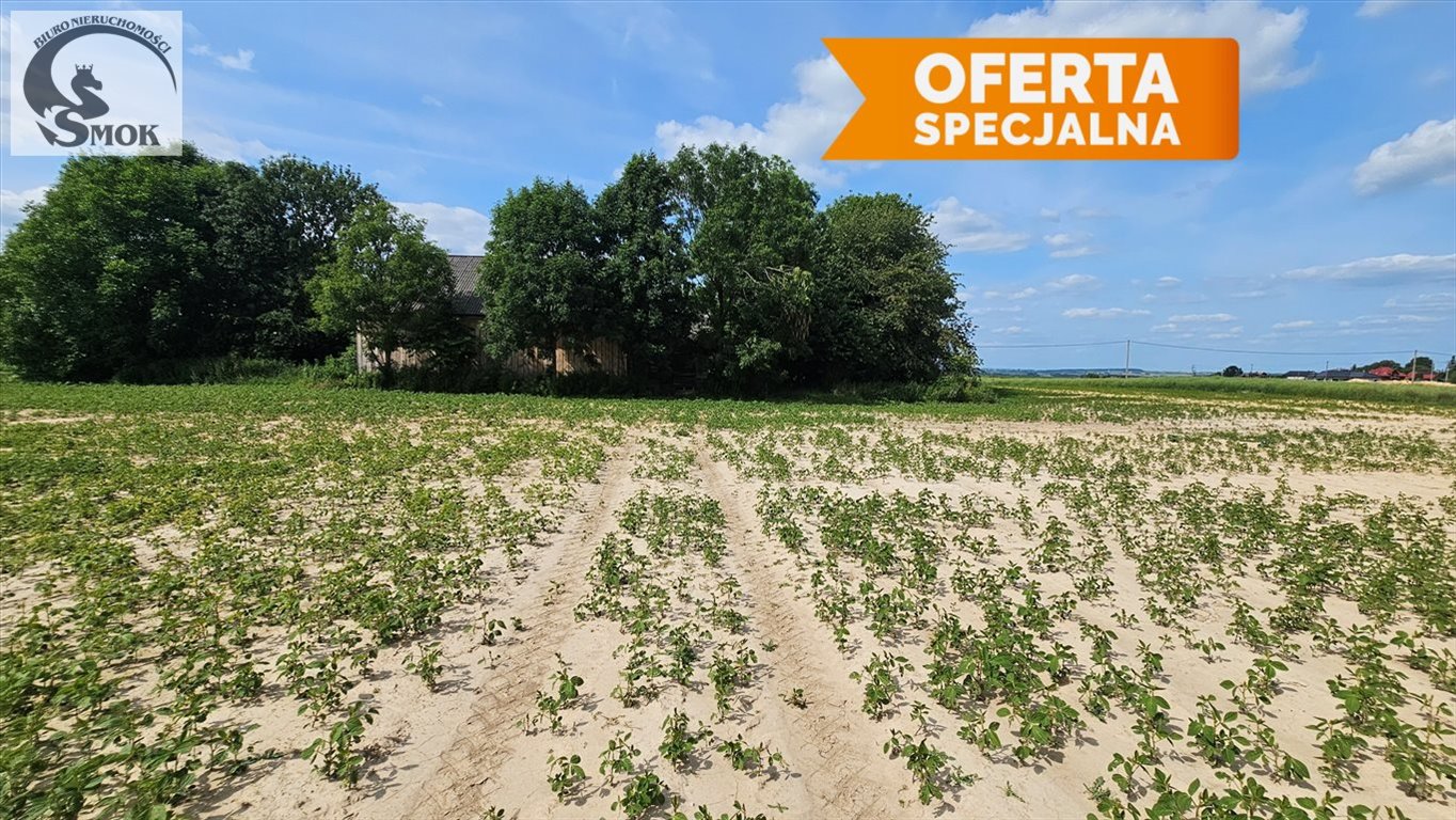 Działka budowlana na sprzedaż Celiny  29 300m2 Foto 1