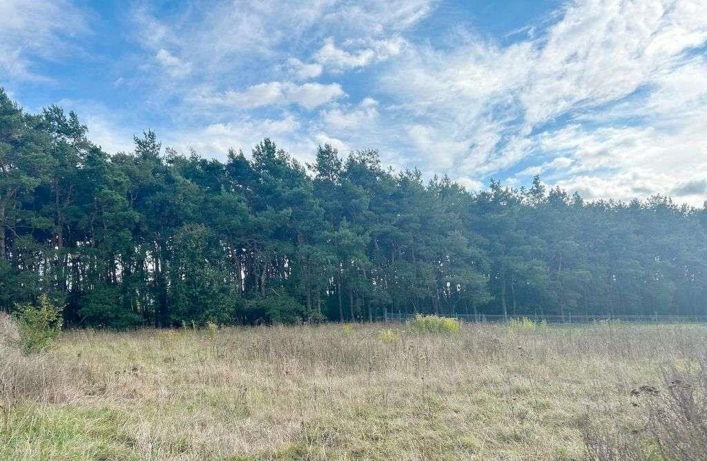 Działka budowlana na sprzedaż Rabowice  950m2 Foto 1