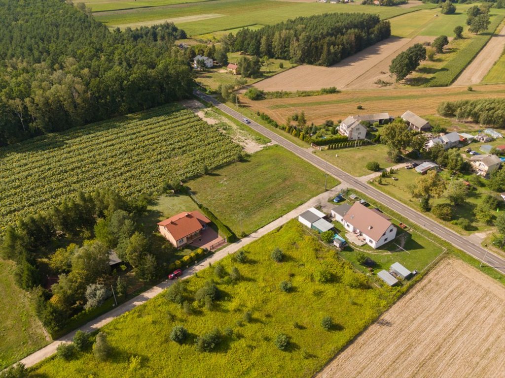 Działka budowlana na sprzedaż Święcienica, Niecała  2 614m2 Foto 12