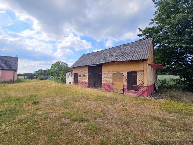 Działka budowlana na sprzedaż Chorzemin  12 500m2 Foto 5