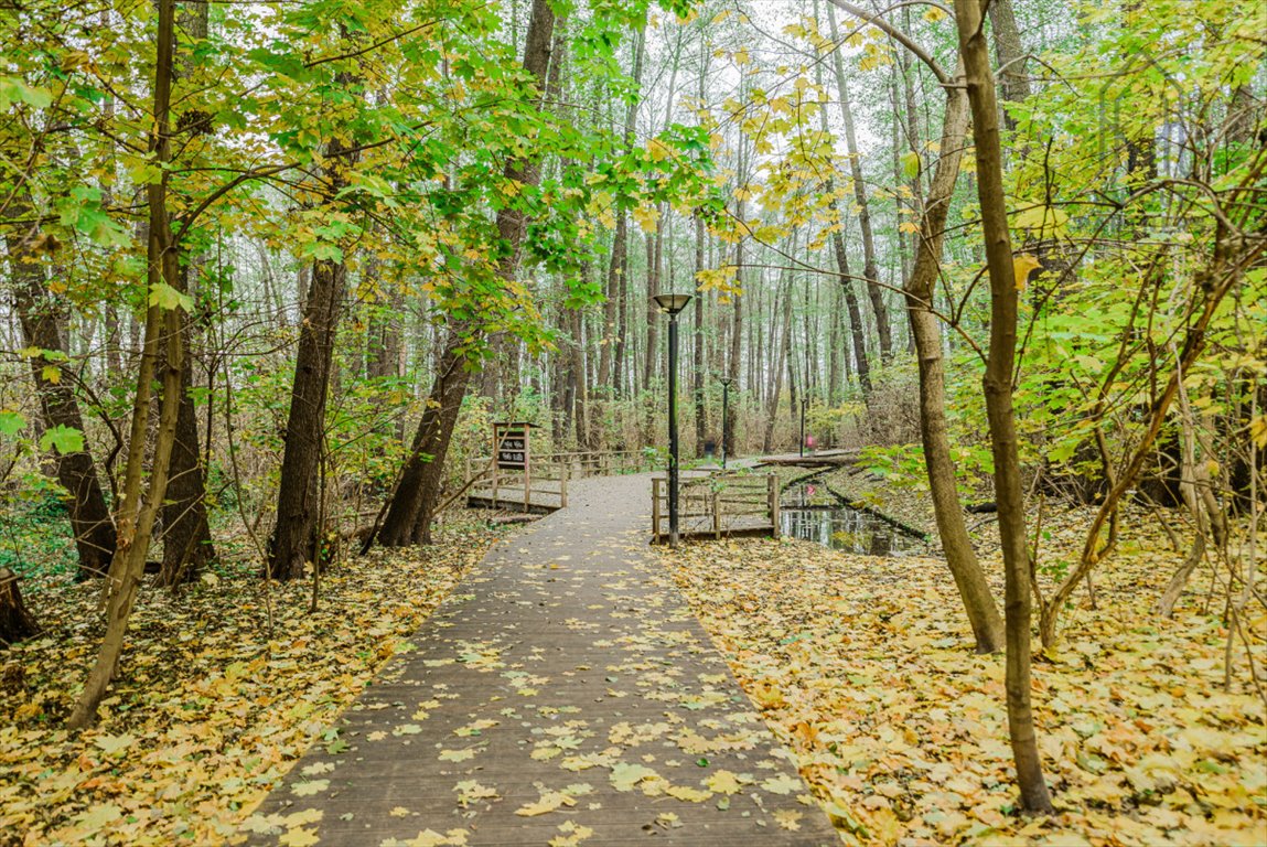 Mieszkanie dwupokojowe na sprzedaż Warszawa, Gąbińska  38m2 Foto 12