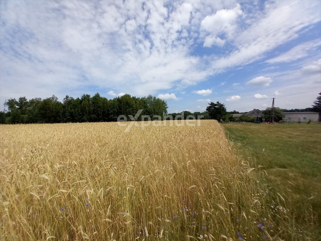 Działka budowlana na sprzedaż Wólka, Rumunki Wólczańskie  6 283m2 Foto 2