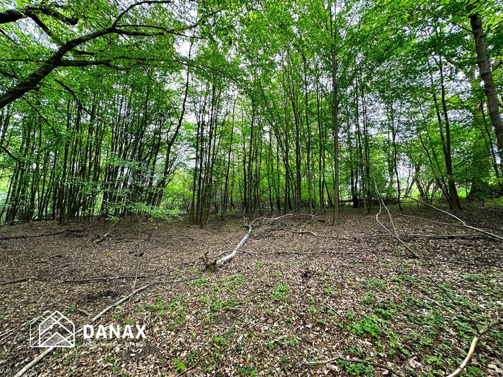 Działka budowlana na sprzedaż Lednica Górna  1 645m2 Foto 1