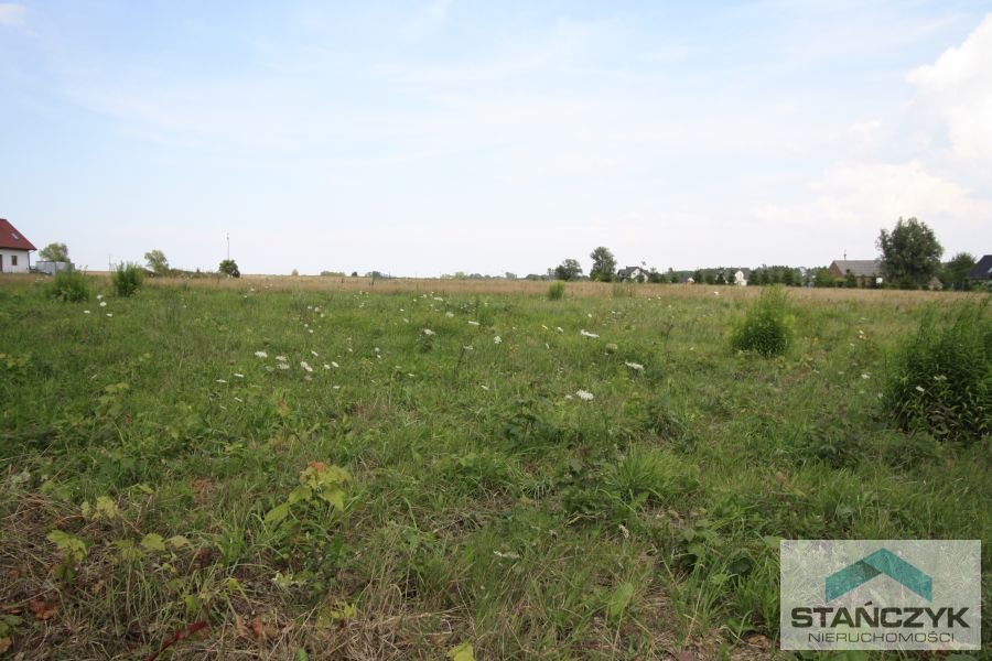 Działka rolna na sprzedaż Chrząstowo  3 000m2 Foto 2