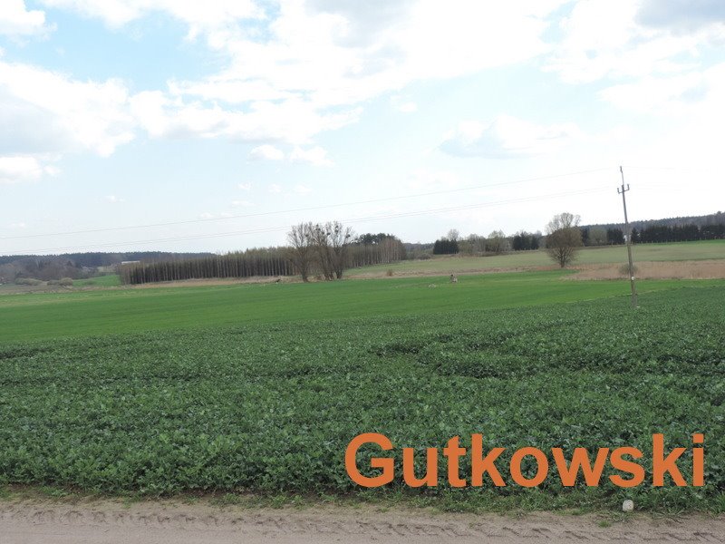 Działka rolna na sprzedaż Dziarny, Gmina Iława  4 140m2 Foto 2