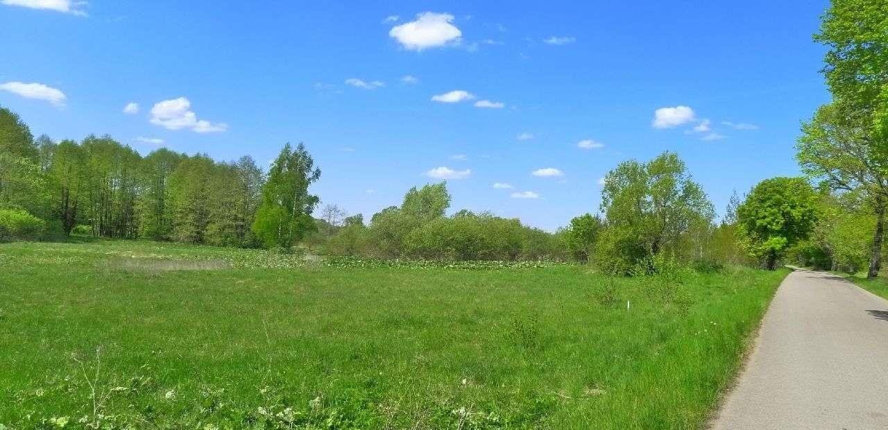 Działka budowlana na sprzedaż Filipów  1 336m2 Foto 13