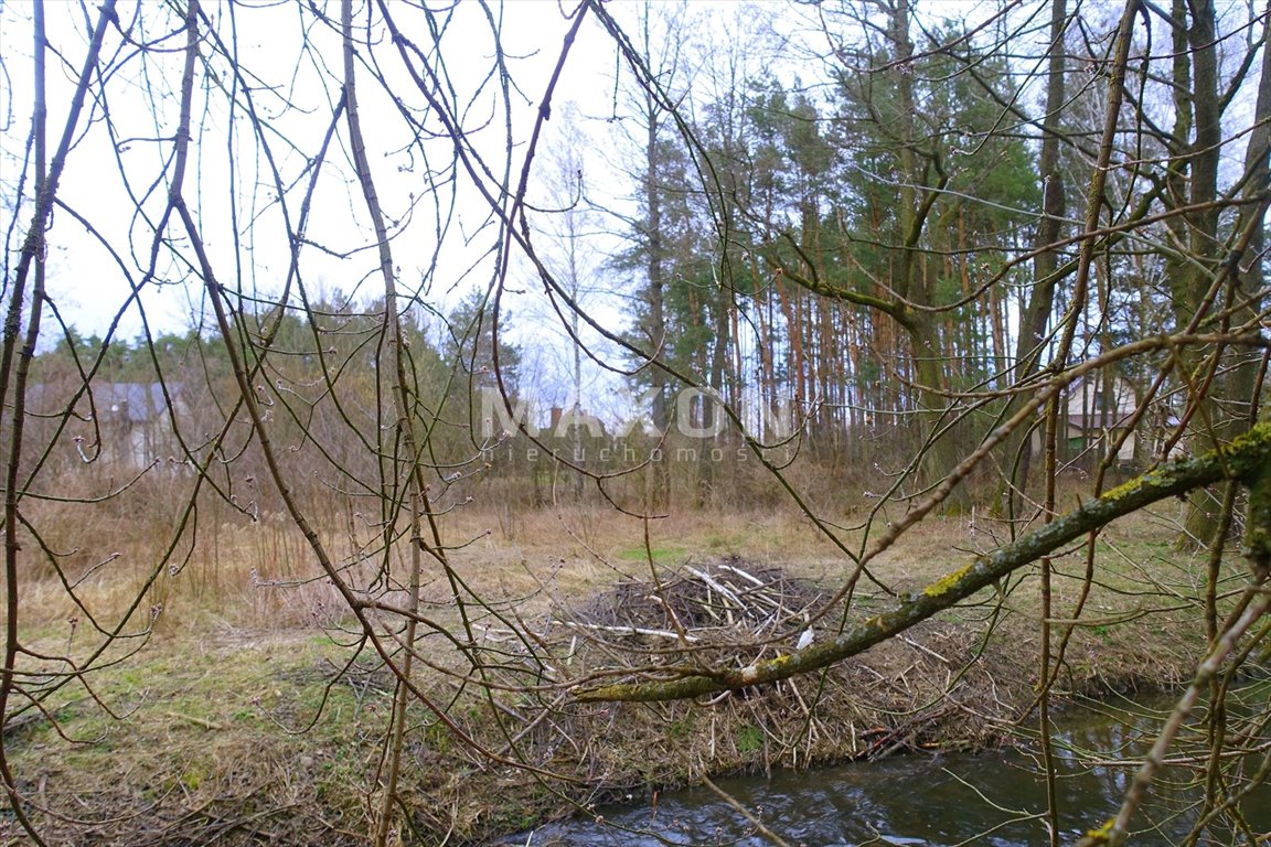 Działka budowlana na sprzedaż Mostówka  6 600m2 Foto 4