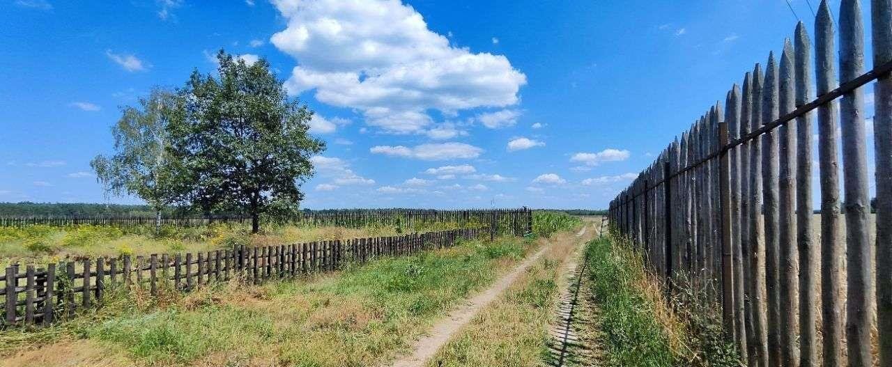 Dom na sprzedaż Białe Błota  147m2 Foto 17