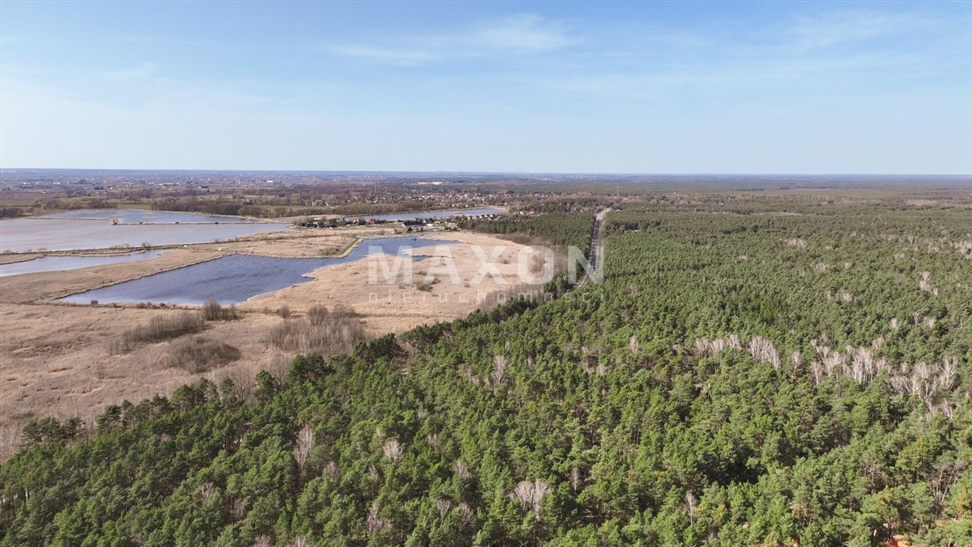 Działka budowlana na sprzedaż Wilga  9 027m2 Foto 8