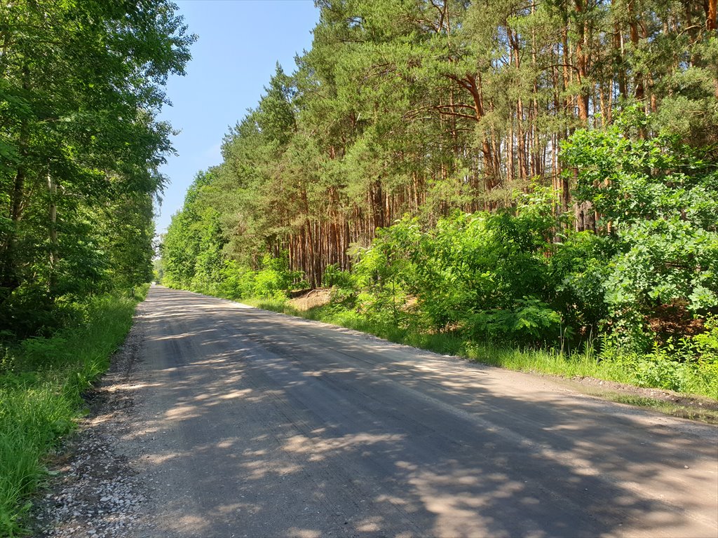 Działka budowlana na sprzedaż Nowy Prażmów  1 029m2 Foto 12