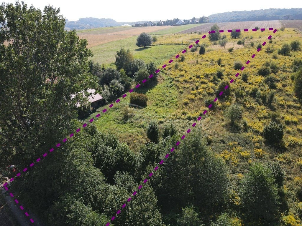 Działka budowlana na sprzedaż Przybysławice  5 500m2 Foto 1