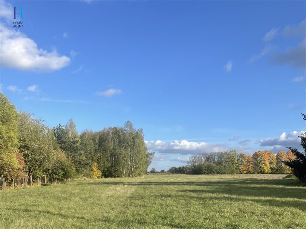 Działka rolna na sprzedaż Będzelin, Leśna  3 587m2 Foto 3