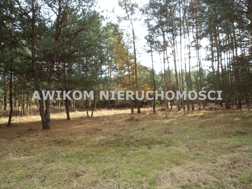 Działka budowlana na sprzedaż Zboiska  2 000m2 Foto 2