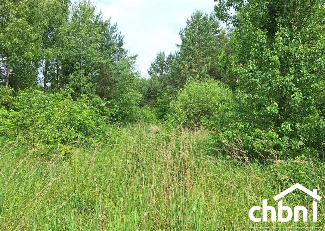 Działka rekreacyjna 997 m² w Sucha – spokój i natura Sucha  997m2 Foto 1