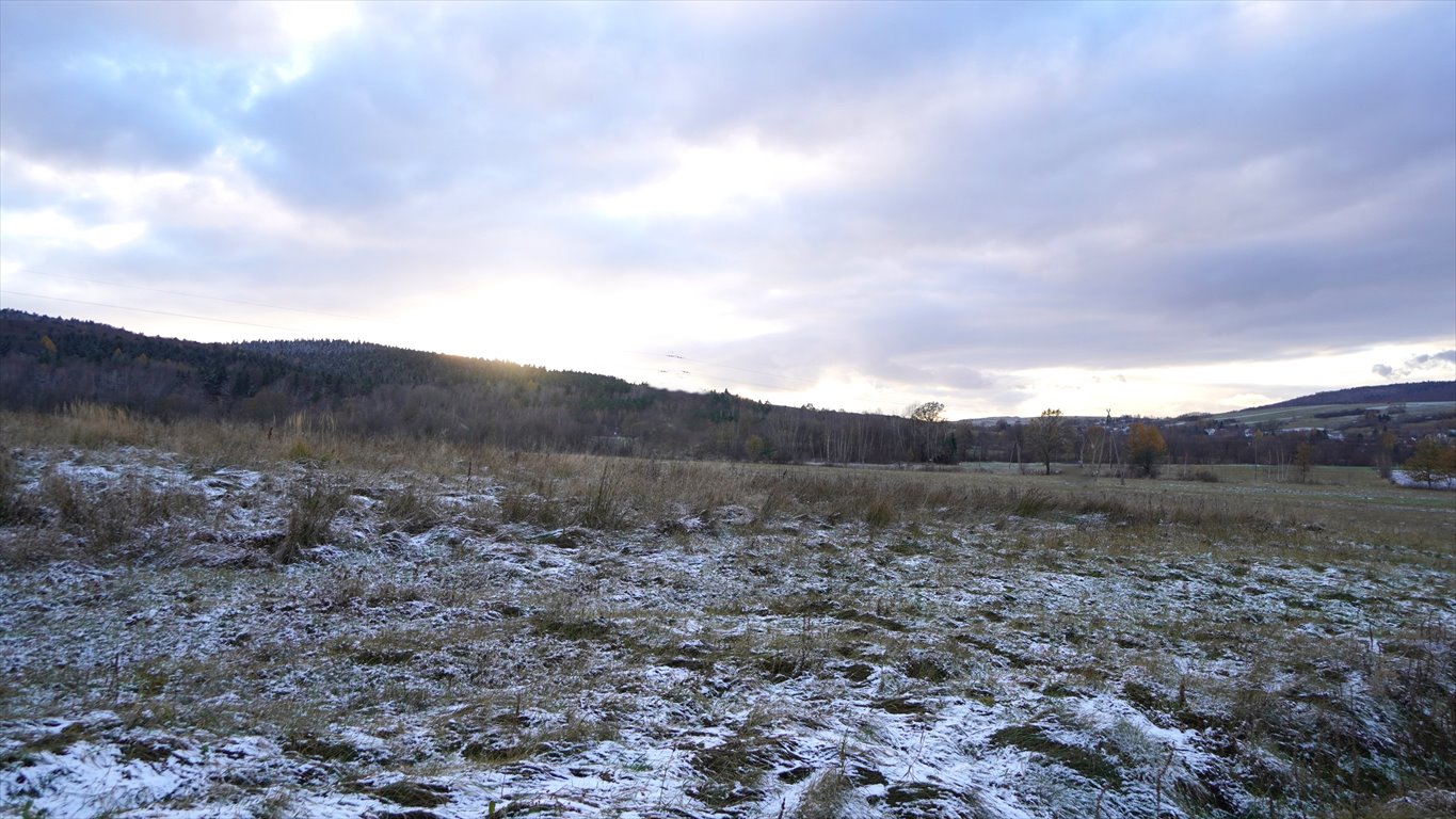 Działka rolna na sprzedaż Wapienne  9 700m2 Foto 5