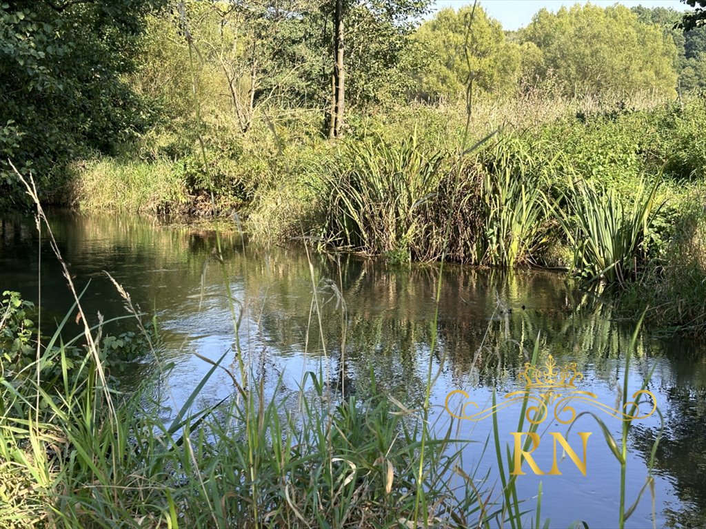 Dom na sprzedaż Bystrzyca Stara  100m2 Foto 2