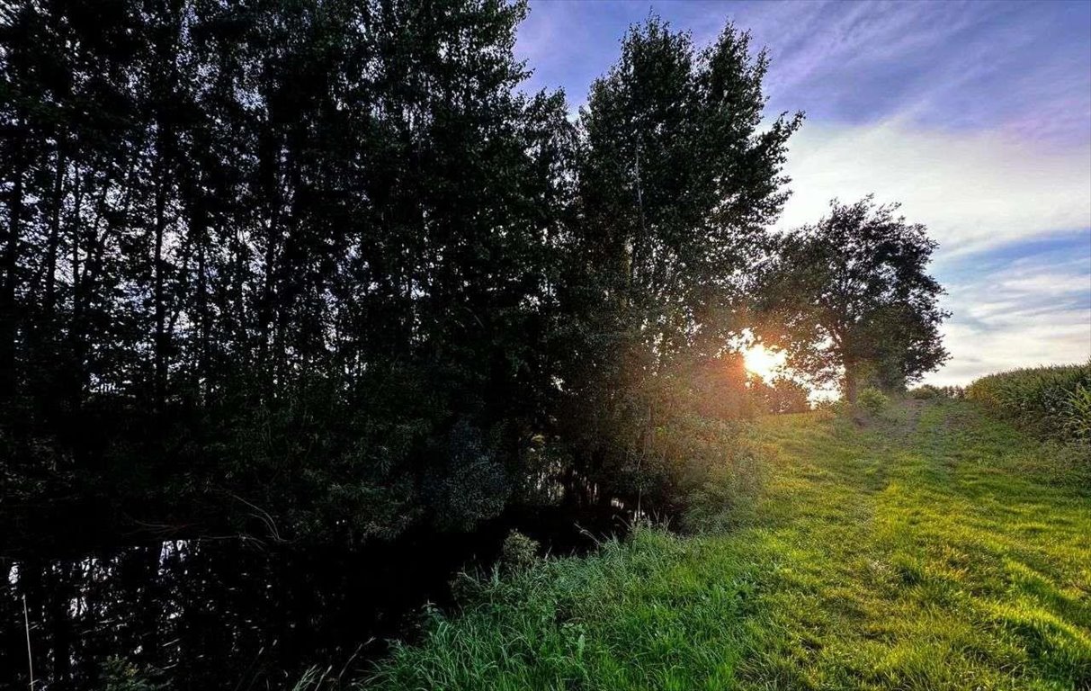 Działka budowlana na sprzedaż Chmielno  89 435m2 Foto 10