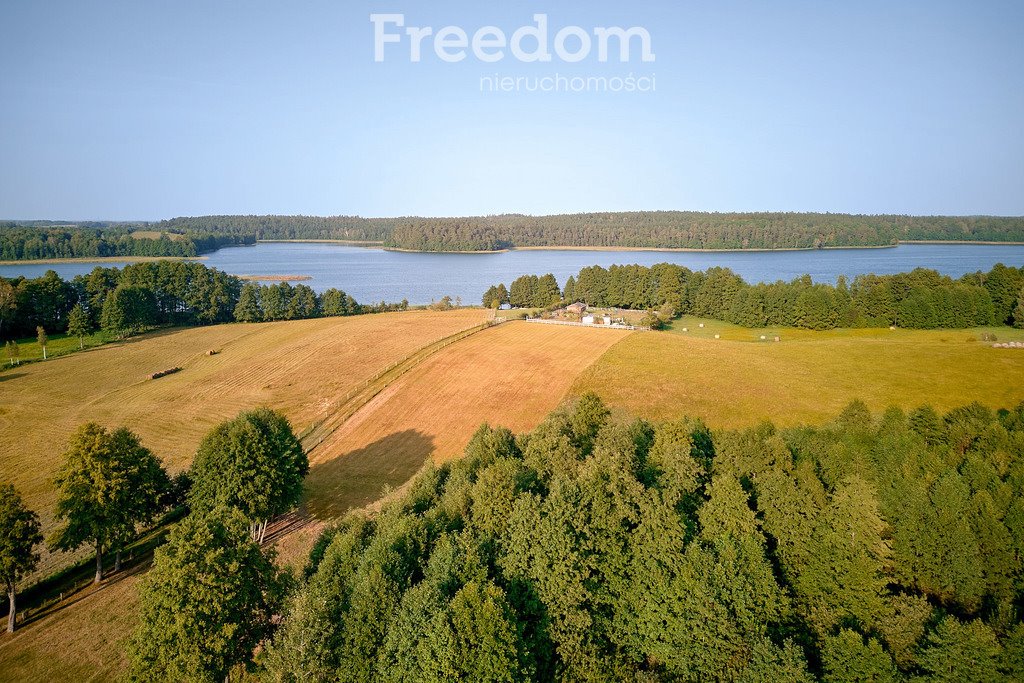 Działka budowlana na sprzedaż Lipowo  38 700m2 Foto 3