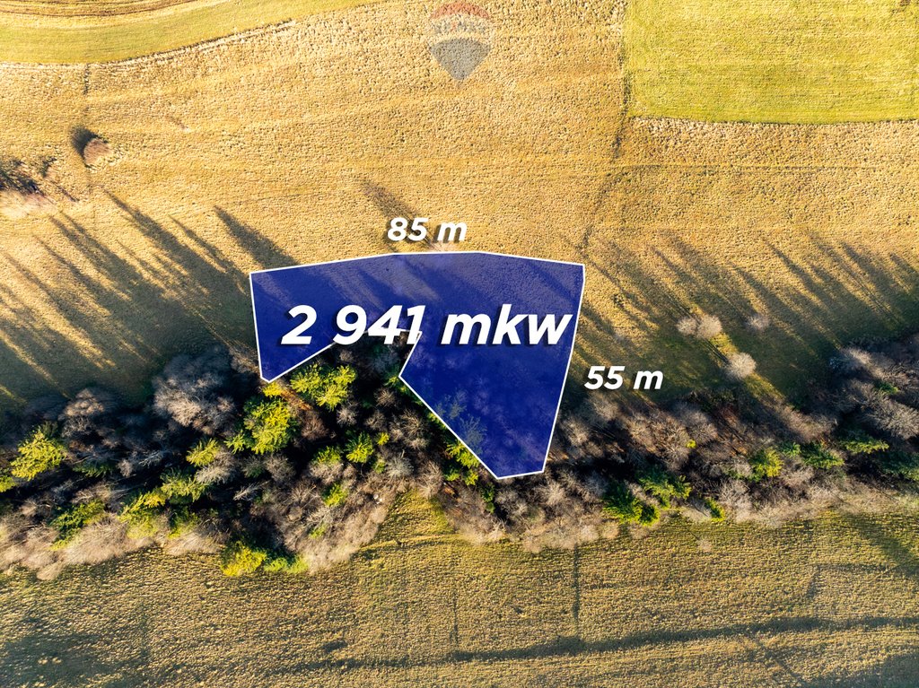 Działka rolna na sprzedaż Zakopane, Bachledzki Wierch  2 941m2 Foto 1