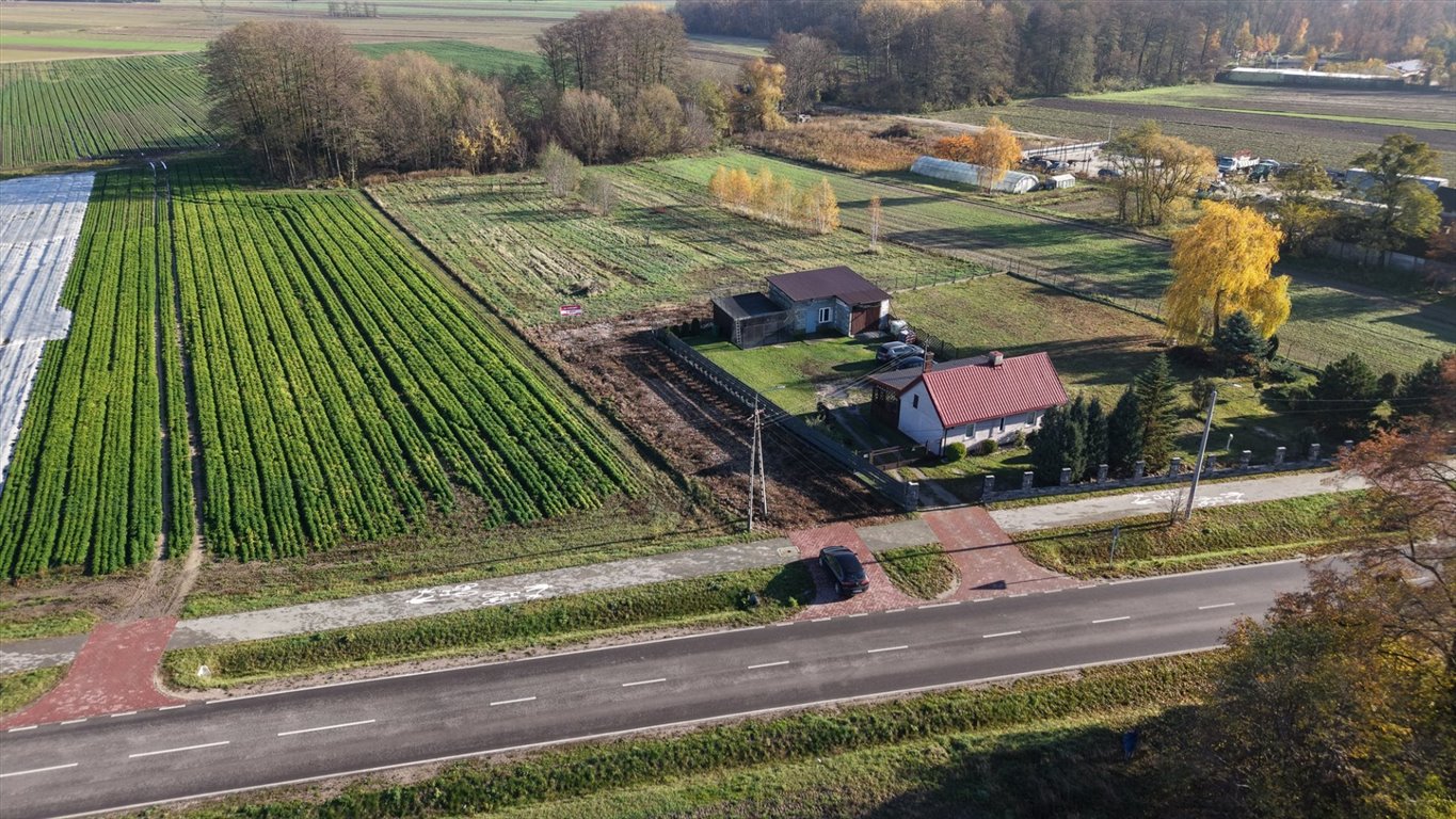Zdjęcie 8