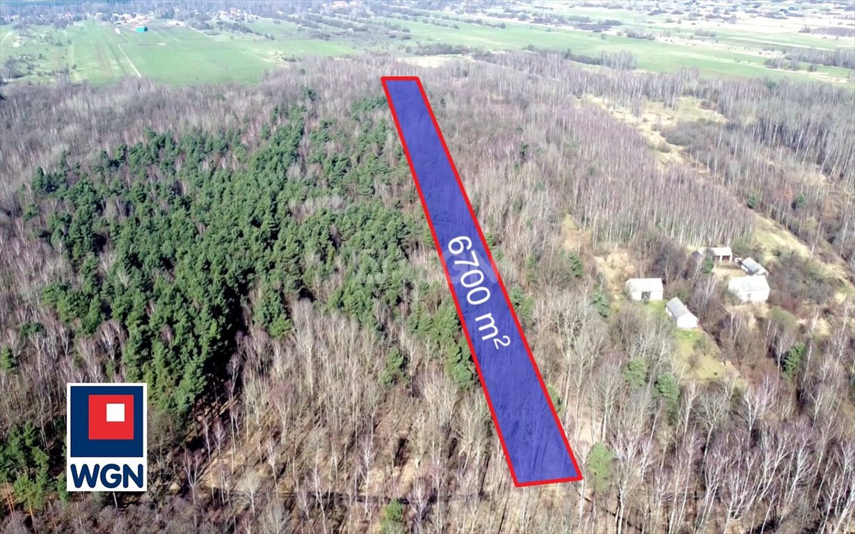 Sprzedam las 6 700 m² w Kamienicy Polskiej z wiekowymi dębami Kamienica Polska, Kamienica Polska  6 700m2 Foto 1