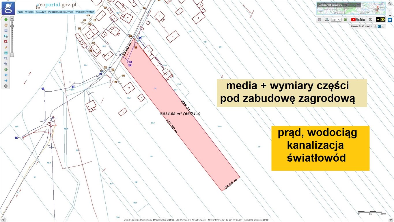 Działka siedliskowa na sprzedaż Czerwona Górka  27 100m2 Foto 9