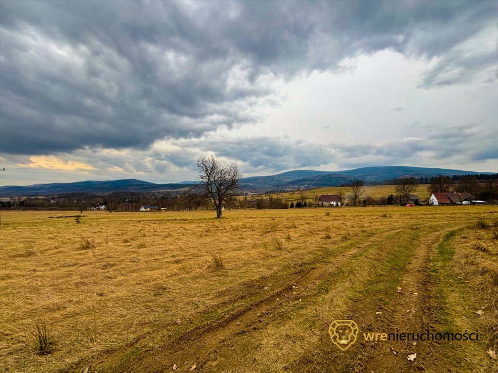 Działka budowlana na sprzedaż Pobiedna  1 218m2 Foto 6