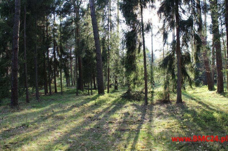 Działka leśna na sprzedaż Mikołeska, Pniowiecka  16 200m2 Foto 4