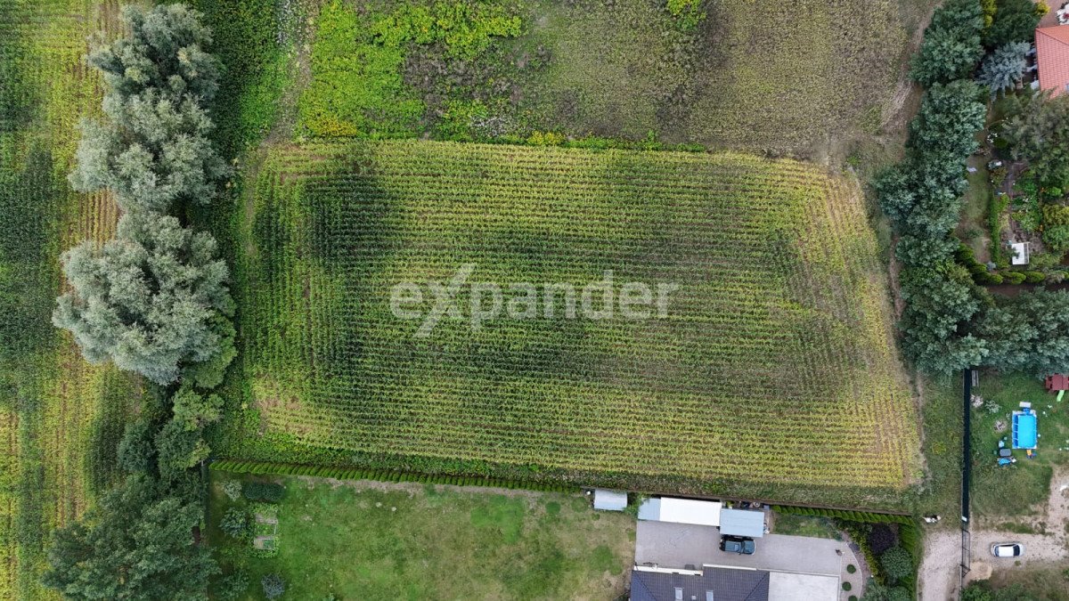 Duża działka w Toporzysku – inwestycja lub dom! Toporzysko  4 099m2 Foto 1