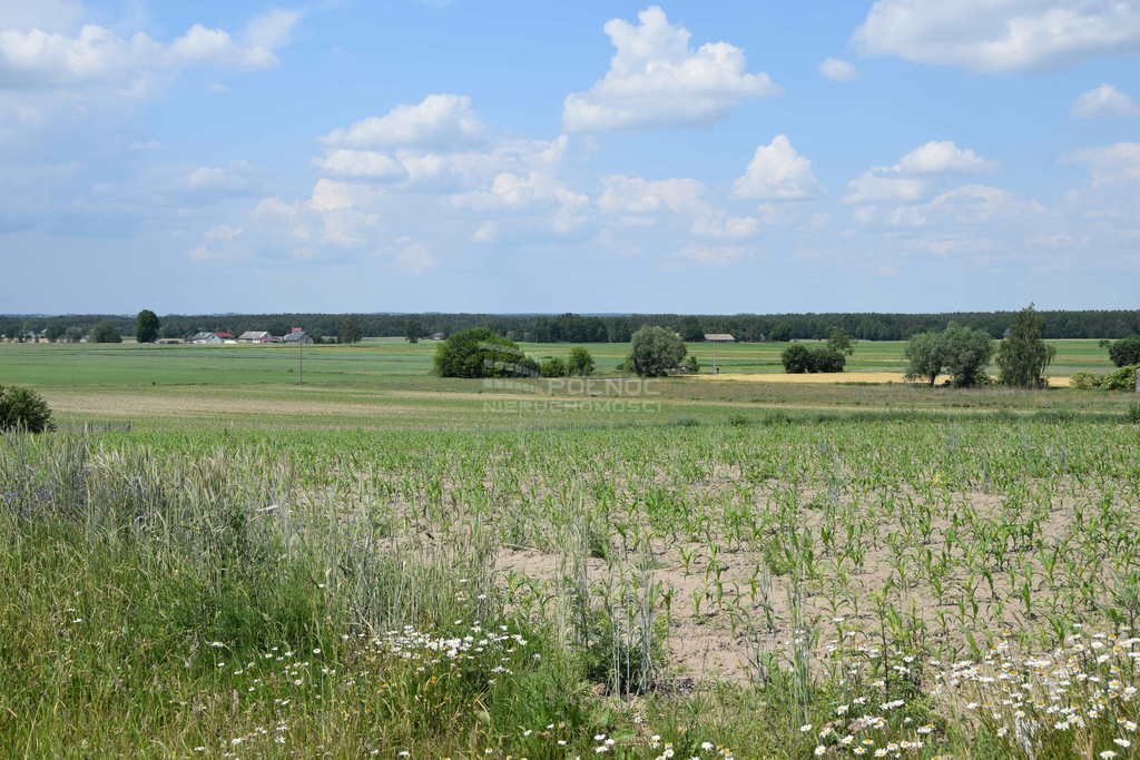 Dom na sprzedaż Łążynek  103m2 Foto 13