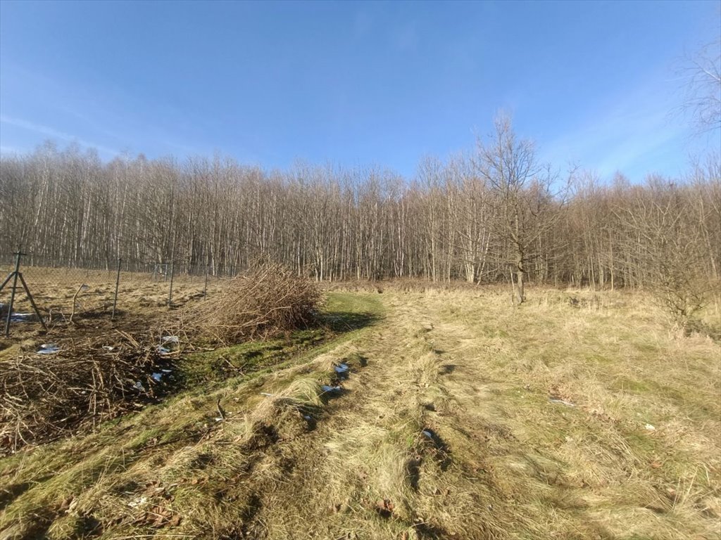 Działka budowlana na sprzedaż Piechowice, Łąkowa  1 300m2 Foto 5