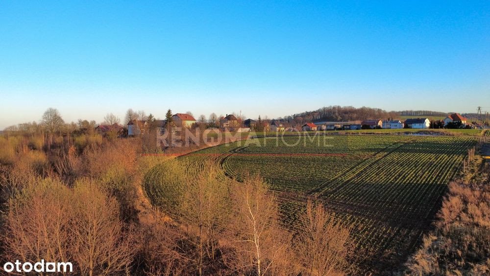 Działka budowlana na sprzedaż Piława Górna  5 560m2 Foto 1