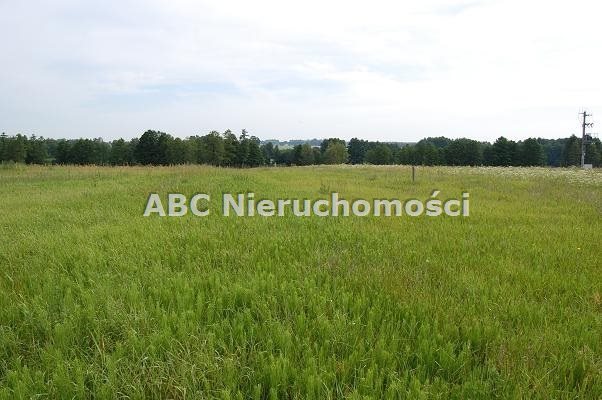 Działka budowlana na sprzedaż Zalesie  1 038m2 Foto 8