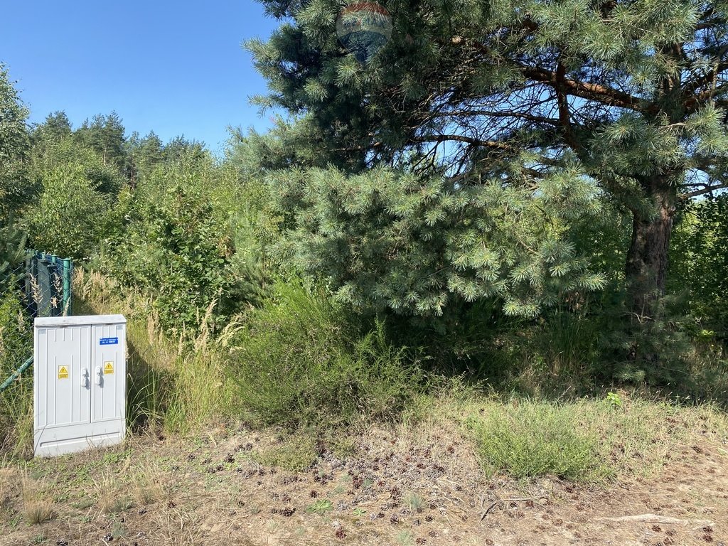 Działka budowlana na sprzedaż Natalin  1 002m2 Foto 1