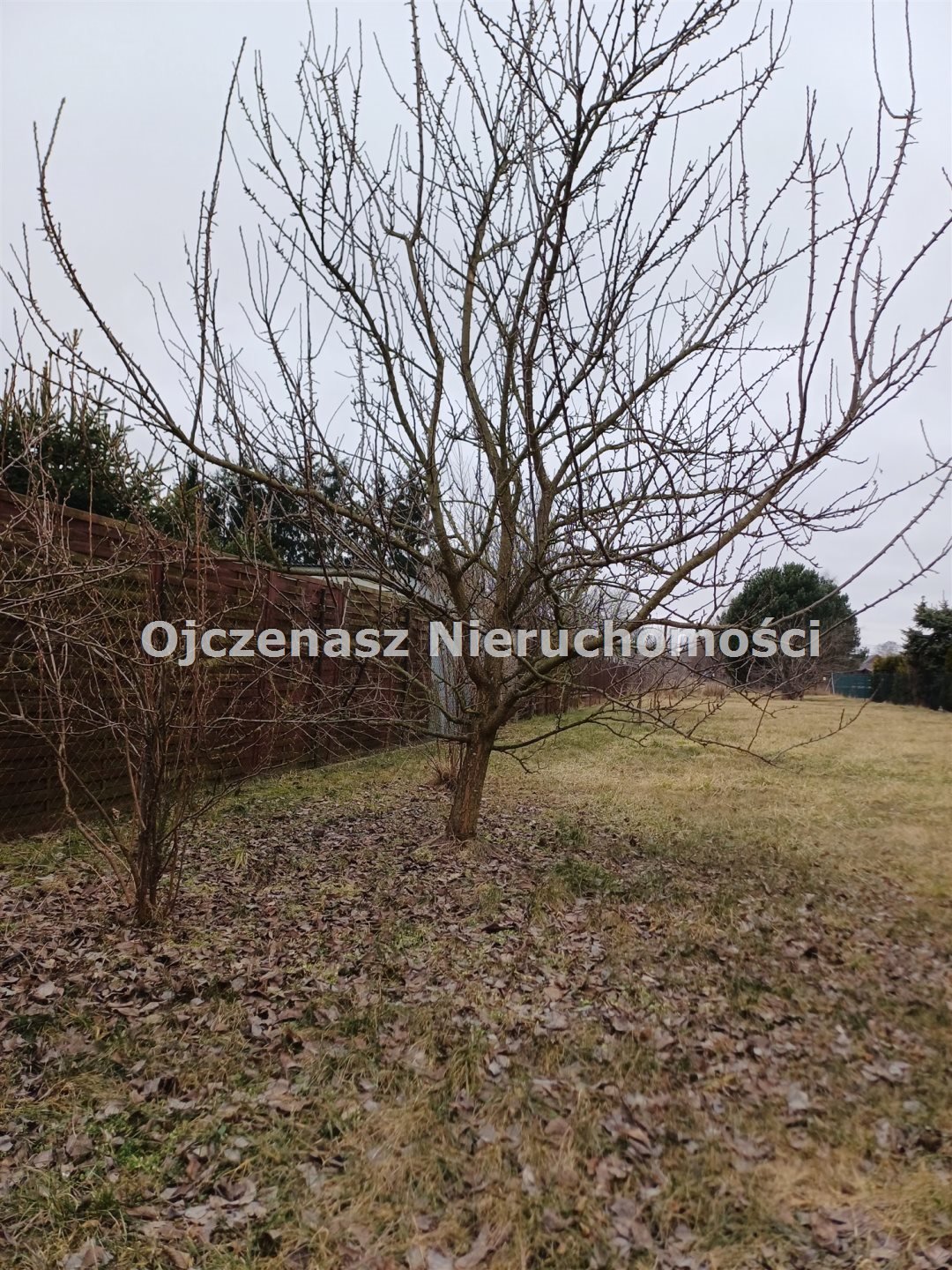 Działka budowlana 900 m² z mediami, las i jezioro blisko Samociążek  900m2 Foto 1