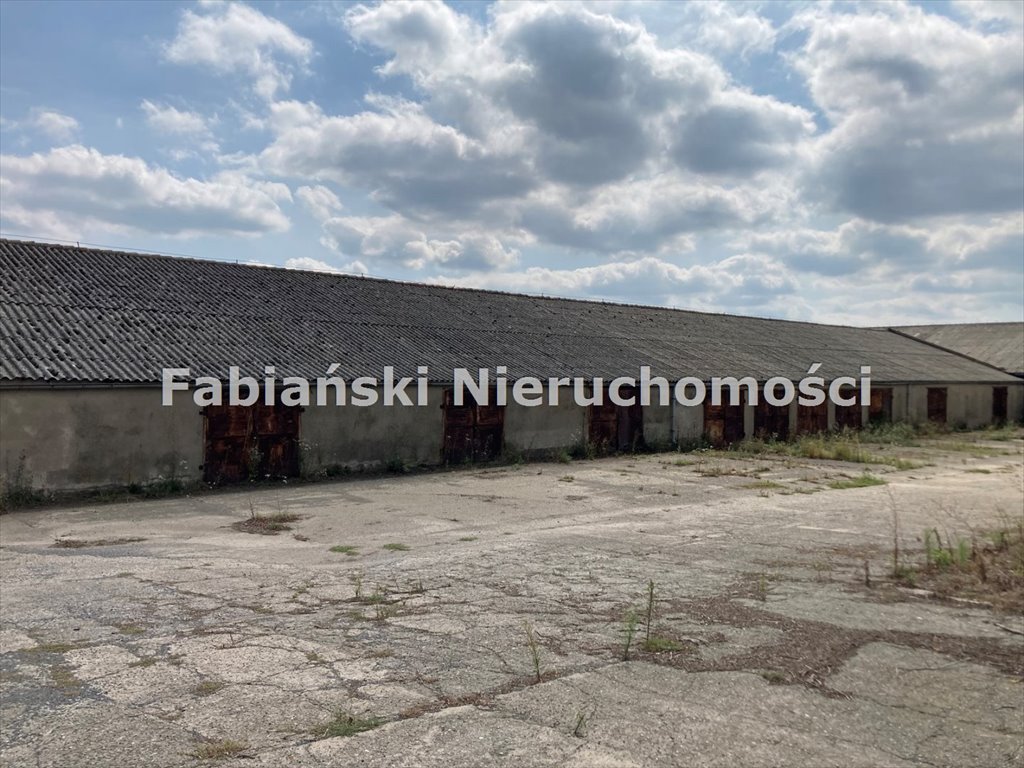 Lokal użytkowy na sprzedaż Łubnica, Baza Rolniczej Spółdzielni Produkcyjnej Łubnica, gmina Wielichowo, powiat grodziski  46 731m2 Foto 15